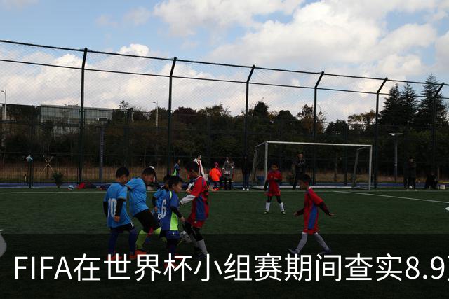 FIFA在世界杯小组赛期间查实8.9万条社媒辱骂帖，锁定1000个账号